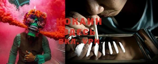 гидра Вяземский