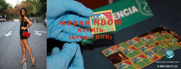 стаф Вязьма