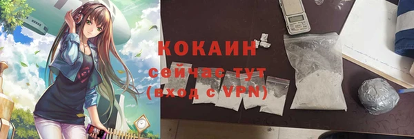 гидра Вяземский