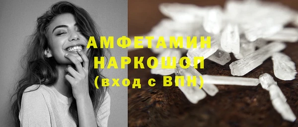 стаф Вязьма