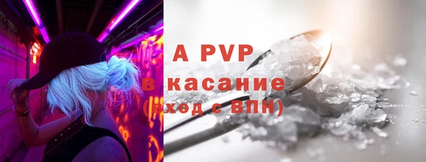 стаф Вязьма