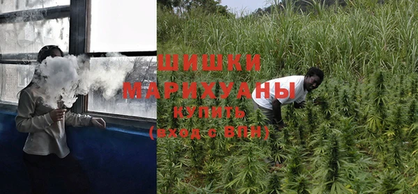 гидра Вяземский
