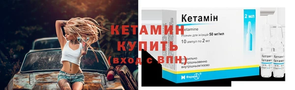 гидра Вяземский