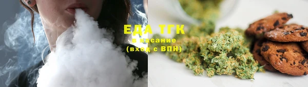 стаф Вязьма