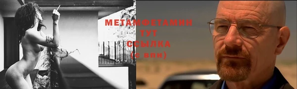 стаф Вязьма