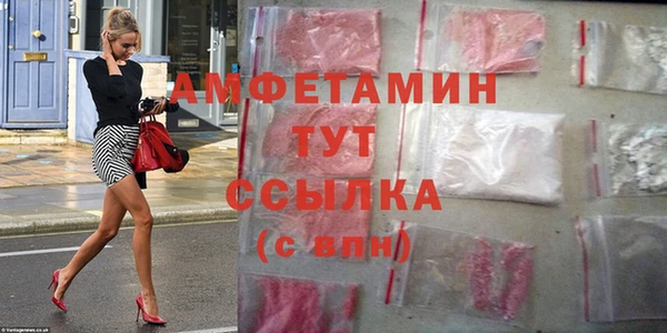стаф Вязьма