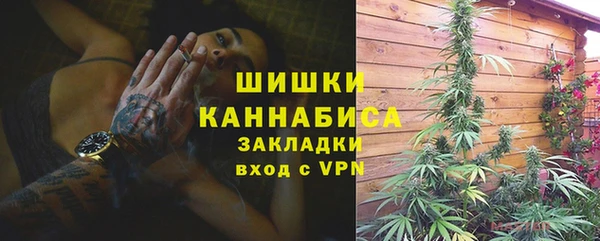 гидра Вяземский
