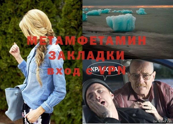 стаф Вязьма