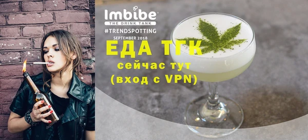 гидра Вяземский