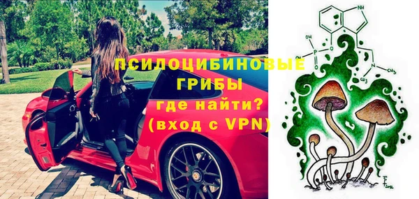 гидра Вяземский