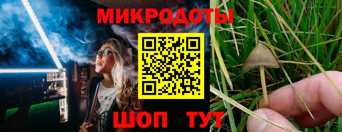 Елец  закладка  Вход с VPN  Псилоцибиновые грибы MAGIC MUSHROOMS 